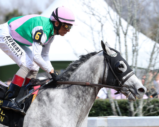 BATTEN DOWN - Pig Trail Overnight Stakes - 03-01-26 - R05 - OP - Gallop Out 01 - Coady Media - Kurtis Coady Photography