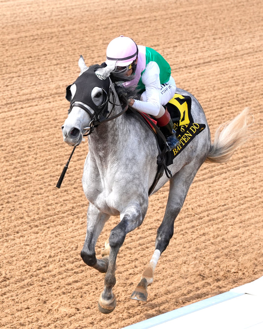 BATTEN DOWN - Pig Trail Overnight Stakes - 03-01-26 - R05 - OP - Inside Finish 01 - Coady Media - Kurtis Coady Photography