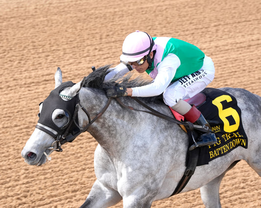 BATTEN DOWN - Pig Trail Overnight Stakes - 03-01-26 - R05 - OP - Inside Finish 02 - Coady Media - Kurtis Coady Photography