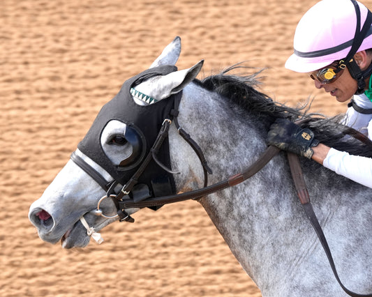 BATTEN DOWN - Pig Trail Overnight Stakes - 03-01-26 - R05 - OP - Inside Finish 03 - Coady Media - Kurtis Coady Photography