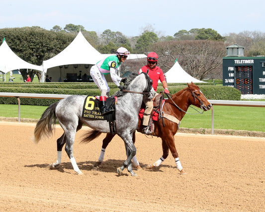 BATTEN DOWN - Pig Trail Overnight Stakes - 03-01-26 - R05 - OP - Post Parade 01 - Coady Media - Kurtis Coady Photography