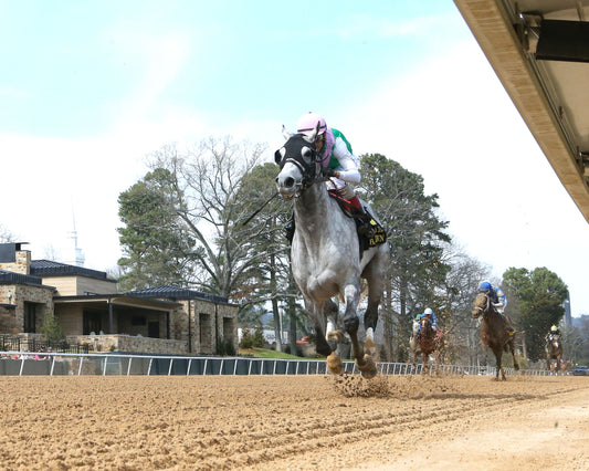 BATTEN DOWN - Pig Trail Overnight Stakes - 03-01-26 - R05 - OP - Under Rail 01 - Coady Media - Kurtis Coady Photography