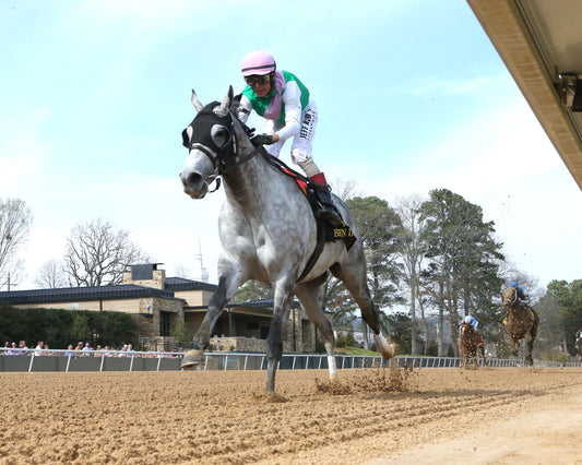 BATTEN DOWN - Pig Trail Overnight Stakes - 03-01-26 - R05 - OP - Under Rail 02 - Coady Media - Kurtis Coady Photography