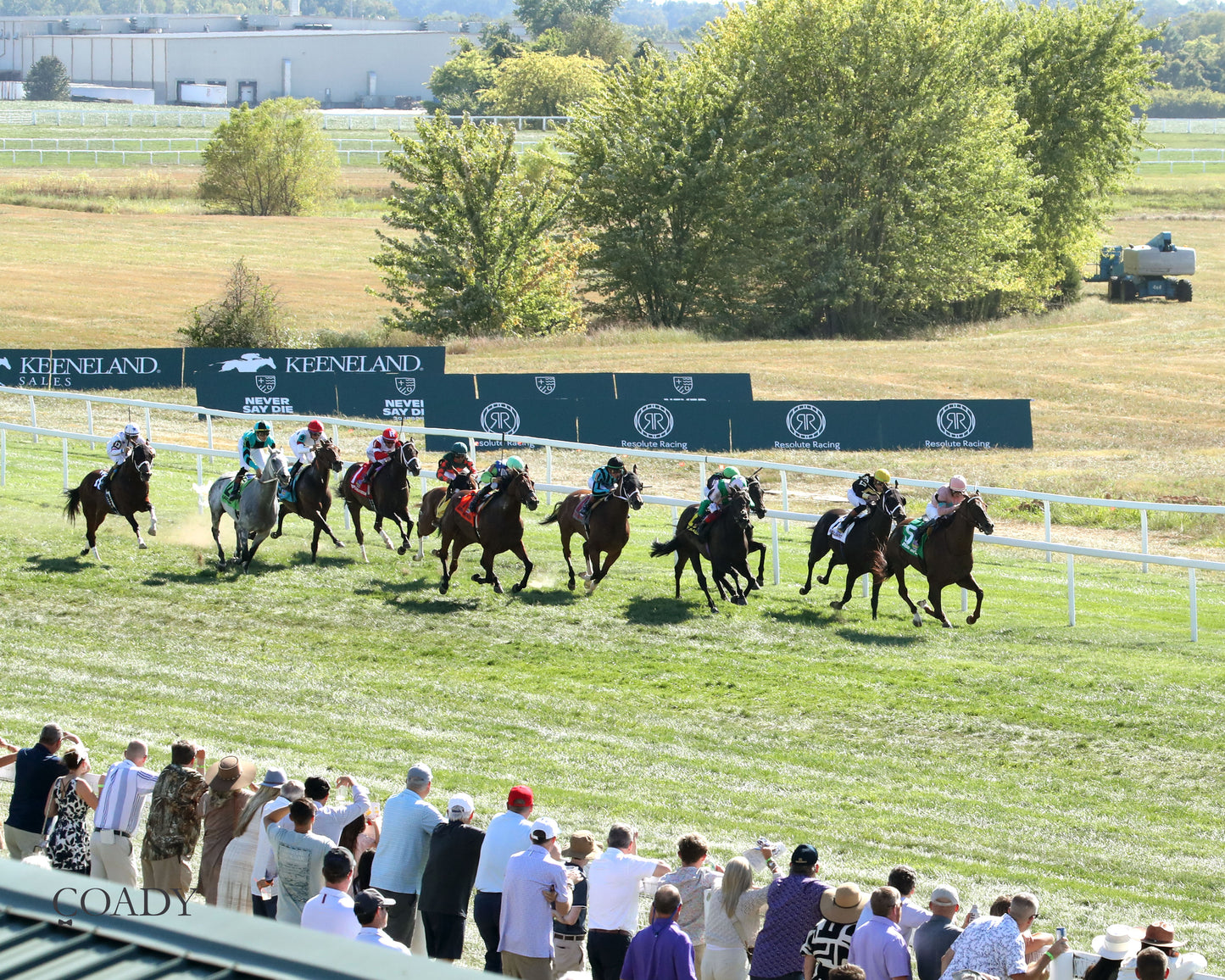BEAR RIVER - Mint Kentucky Turf Sprint Stakes - G2 - 08-30-25 - R09 - KD - Aerial Finish 02 - Coady Media - Kurtis Coady Photography