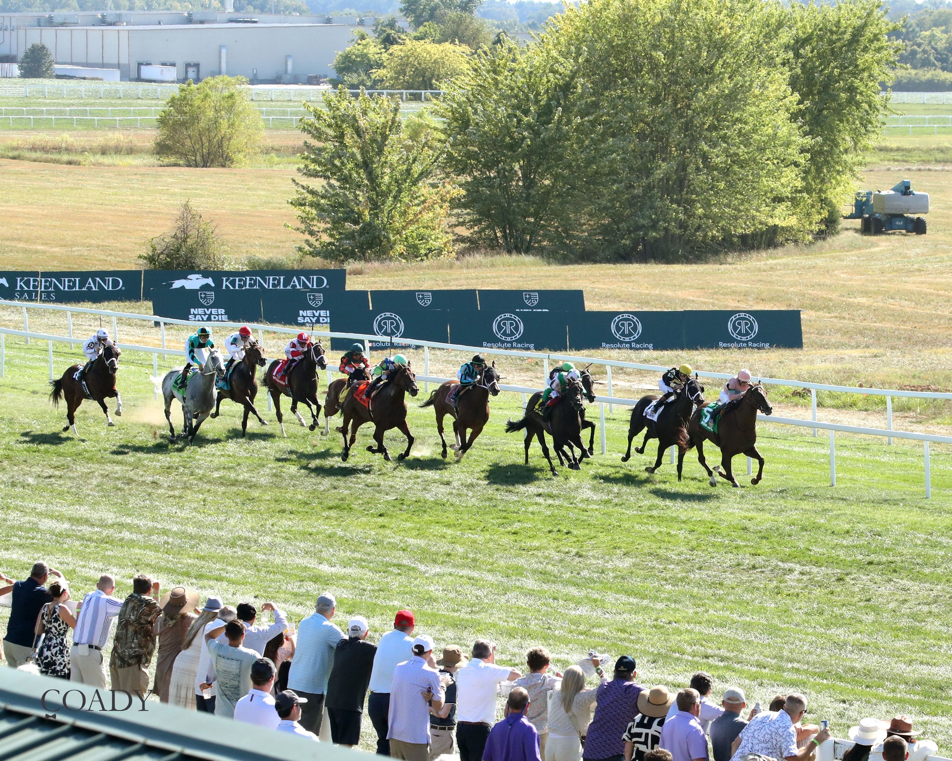 BEAR RIVER - Mint Kentucky Turf Sprint Stakes - G2 - 08-30-25 - R09 - KD - Aerial Finish 02 - Coady Media - Kurtis Coady Photography