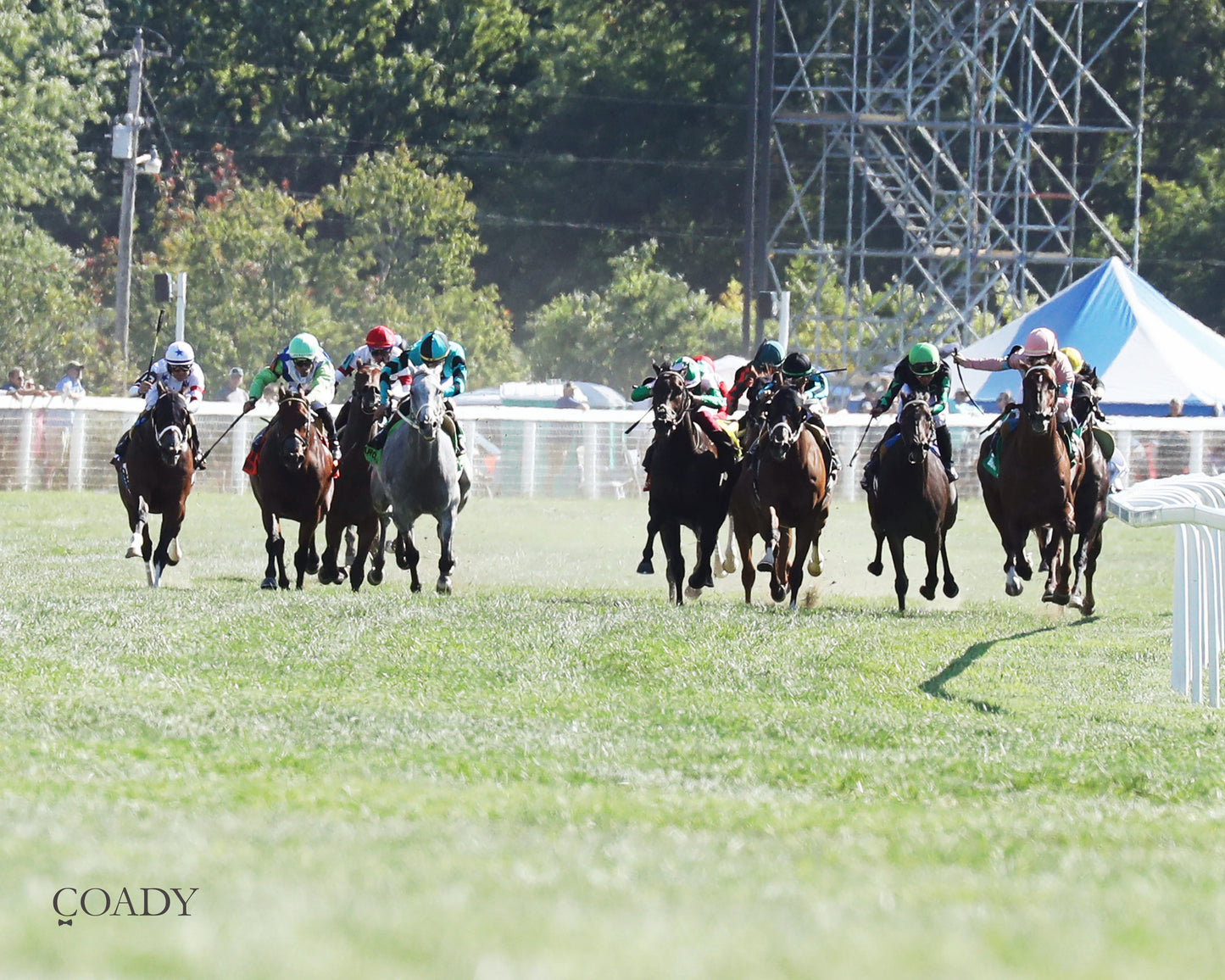 BEAR RIVER - Mint Kentucky Turf Sprint Stakes - G2 - 08-30-25 - R09 - KD - Head On 01 - Coady Media - Kurtis Coady Photography