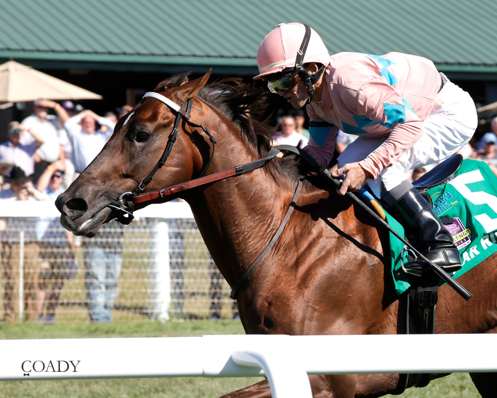BEAR RIVER - Mint Kentucky Turf Sprint Stakes - G2 - 08-30-25 - R09 - KD - Inside Finish 01 - Coady Media - Kurtis Coady Photography