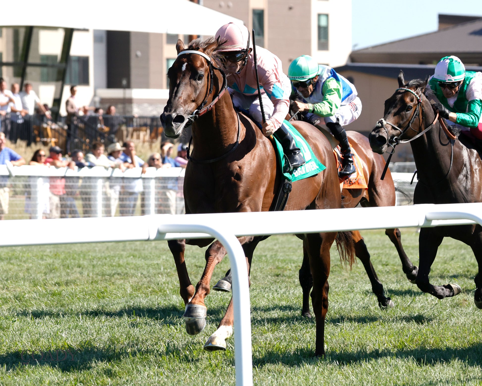 BEAR RIVER - Mint Kentucky Turf Sprint Stakes - G2 - 08-30-25 - R09 - KD - Inside Finish 2 - Coady Media - Kurtis Coady Photography