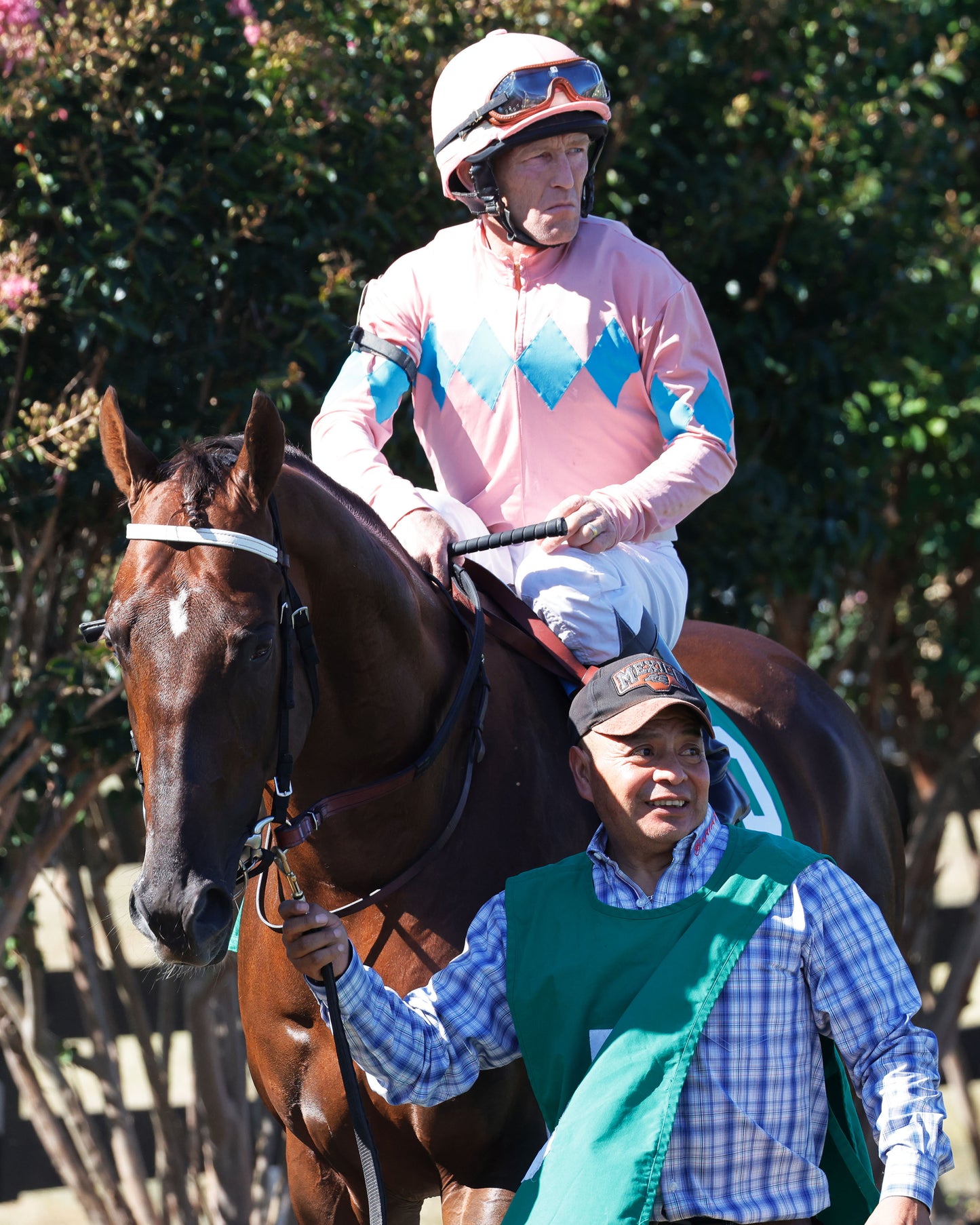 BEAR RIVER - Mint Kentucky Turf Sprint Stakes - G2 - 08-30-25 - R09 - KD - Paddock 01 - Coady Media - Kurtis Coady Photography