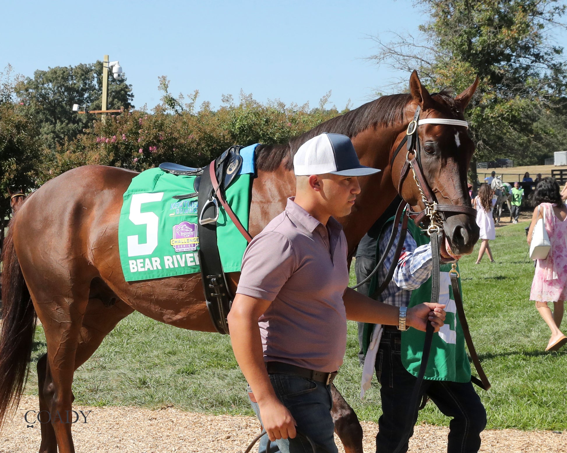 BEAR RIVER - Mint Kentucky Turf Sprint Stakes - G2 - 08-30-25 - R09 - KD - Paddock 02 - Coady Media - Kurtis Coady Photography