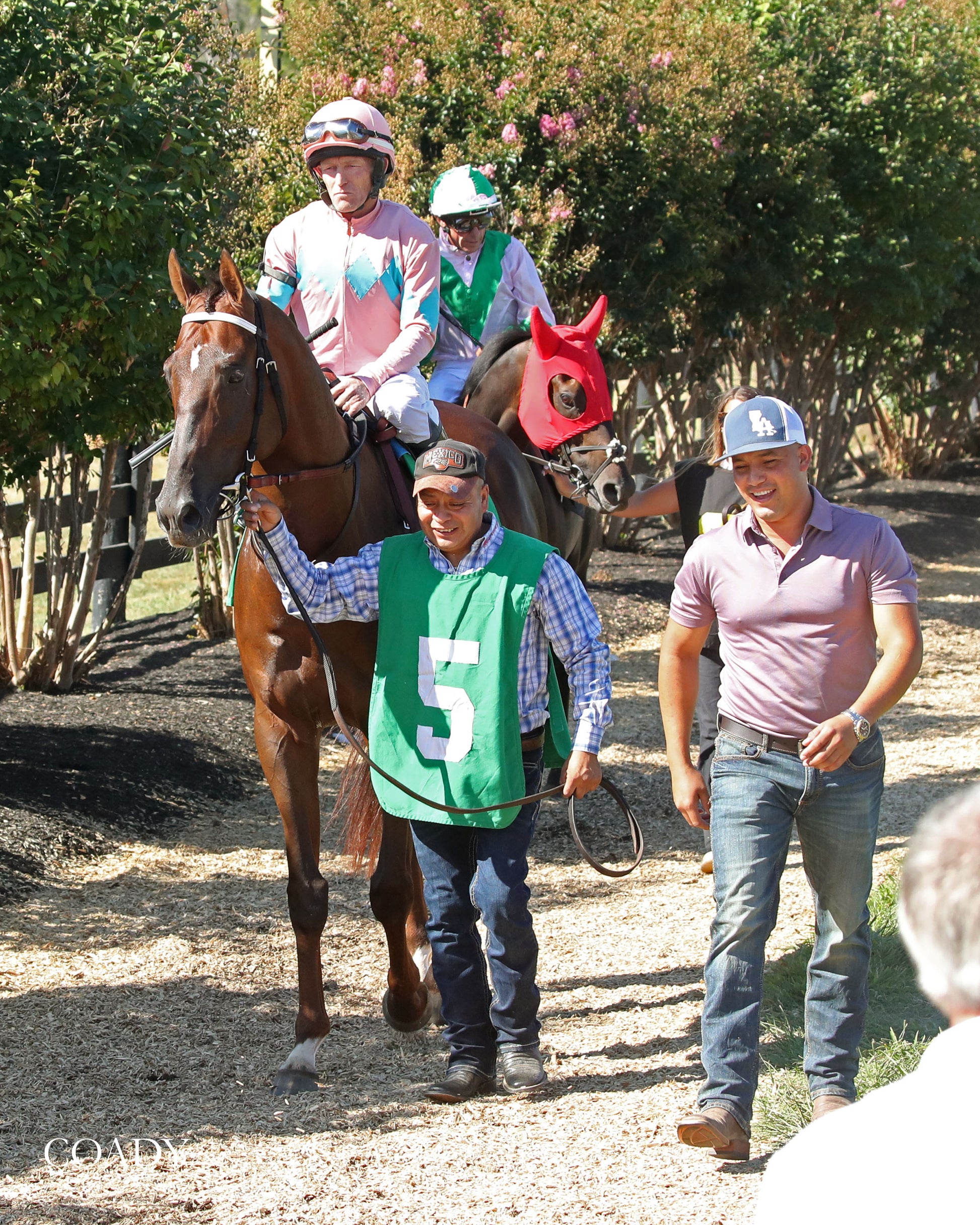 BEAR RIVER - Mint Kentucky Turf Sprint Stakes - G2 - 08-30-25 - R09 - KD - Paddock 04 - Coady Media - Kurtis Coady Photography