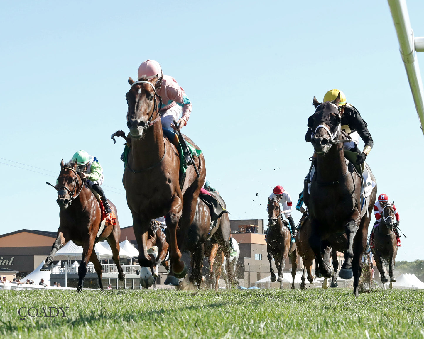 BEAR RIVER - Mint Kentucky Turf Sprint Stakes - G2 - 08-30-25 - R09 - KD - Under Rail 02 - Coady Media - Kurtis Coady Photography