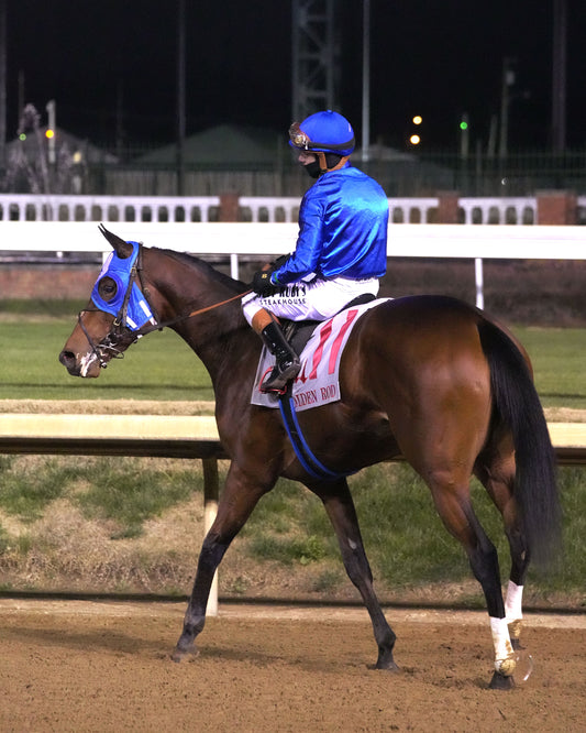 BELLA BALLERINA - The Golden Rod G2 - 11-29-25 - R11 - CD - Come Back 05