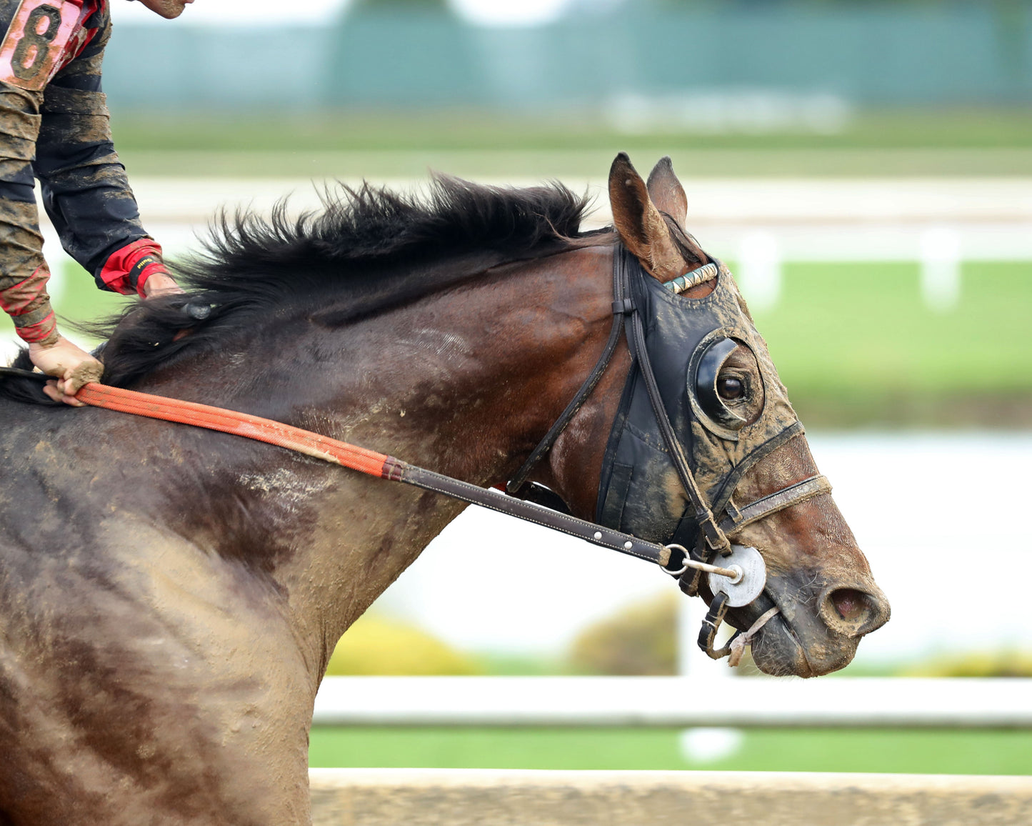 BENDOOG - Michael G Schaefer Memorial - 07-11-26 - R06 - Horseshoe Indiana - Gallop Out 01 - Cady Coulardot