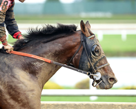 BENDOOG - Michael G Schaefer Memorial - 07-11-26 - R06 - Horseshoe Indiana - Gallop Out 01 - Cady Coulardot