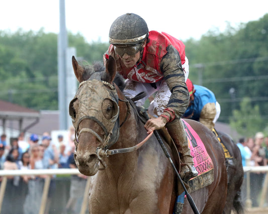 BENDOOG - Michael G Schaefer Memorial - 07-11-26 - R06 - Horseshoe Indiana - Inside Finish 01 - Renee Torbit