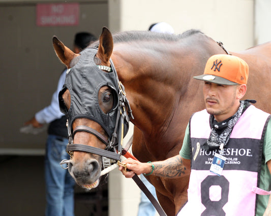 BENDOOG - Michael G Schaefer Memorial - 07-11-26 - R06 - Horseshoe Indiana - Paddock 01 - Casey Cable