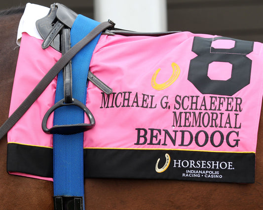 BENDOOG - Michael G Schaefer Memorial - 07-11-26 - R06 - Horseshoe Indiana - Saddle Towel 01 - Casey Cable