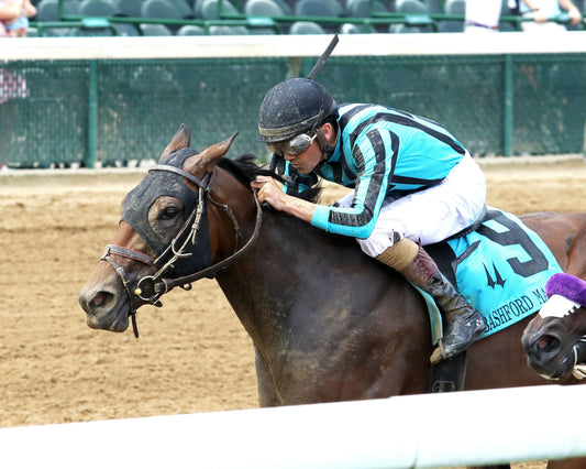 BLESSED FLYER - The Bashford Manor - 06-28-26 - R08 - CD - Inside Finish 01