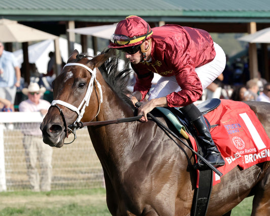 BLESS THE BROKEN - The Kentucky Downs Lady Turf G2 - 09-05-26 - R09 - KD - Inside Finish 02