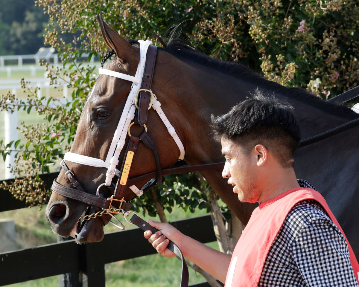 BLESS THE BROKEN - The Kentucky Downs Lady Turf G2 - 09-05-26 - R09 - KD - Paddock 02