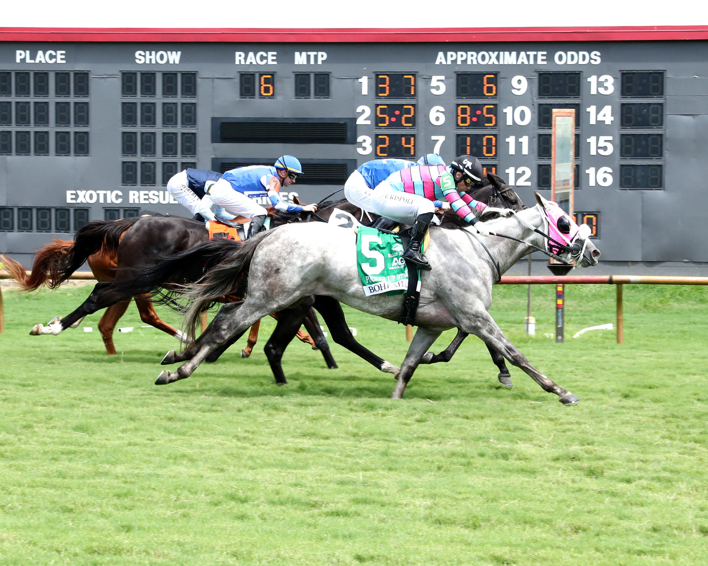 BOHEMIAN - 080226 - Race 06 - ELP - Finish 01