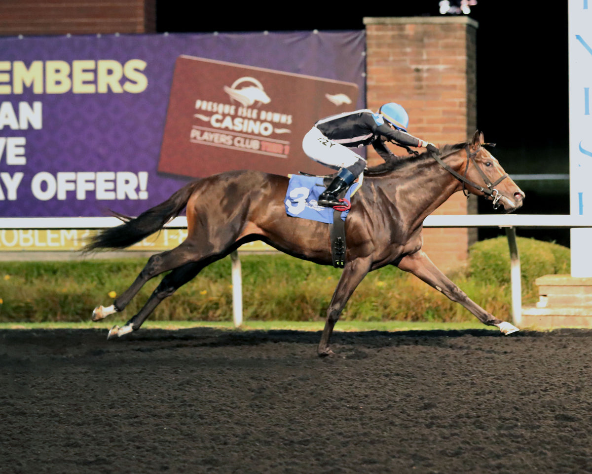 BOSSY WOSSY - The Fitz Dixon Jr. Memorial Juvenile Stakes - 09-18-26 - R07 - PID - Finish 01