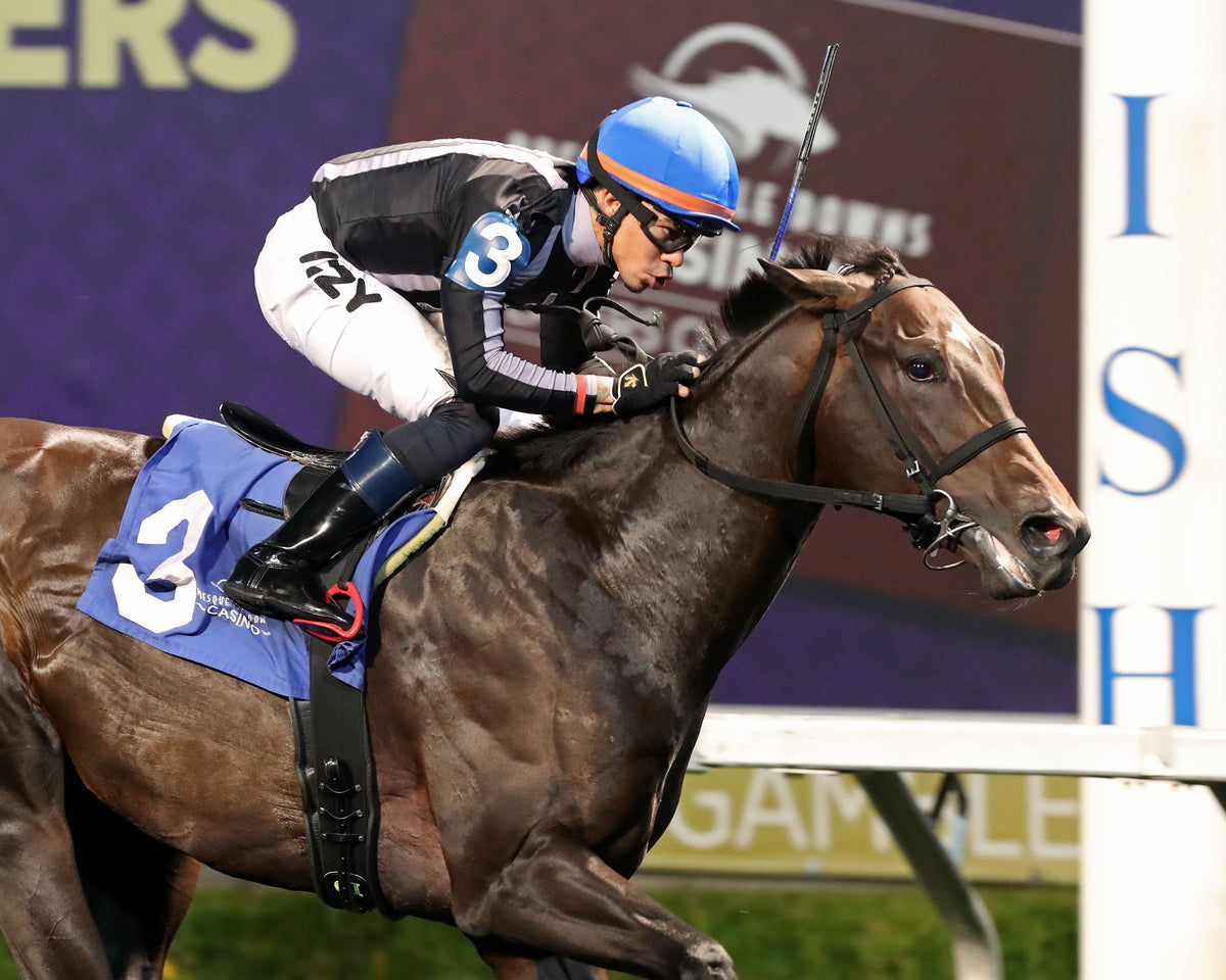 BOSSY WOSSY - The Fitz Dixon Jr. Memorial Juvenile Stakes - 09-18-26 - R07 - PID - Finish 02