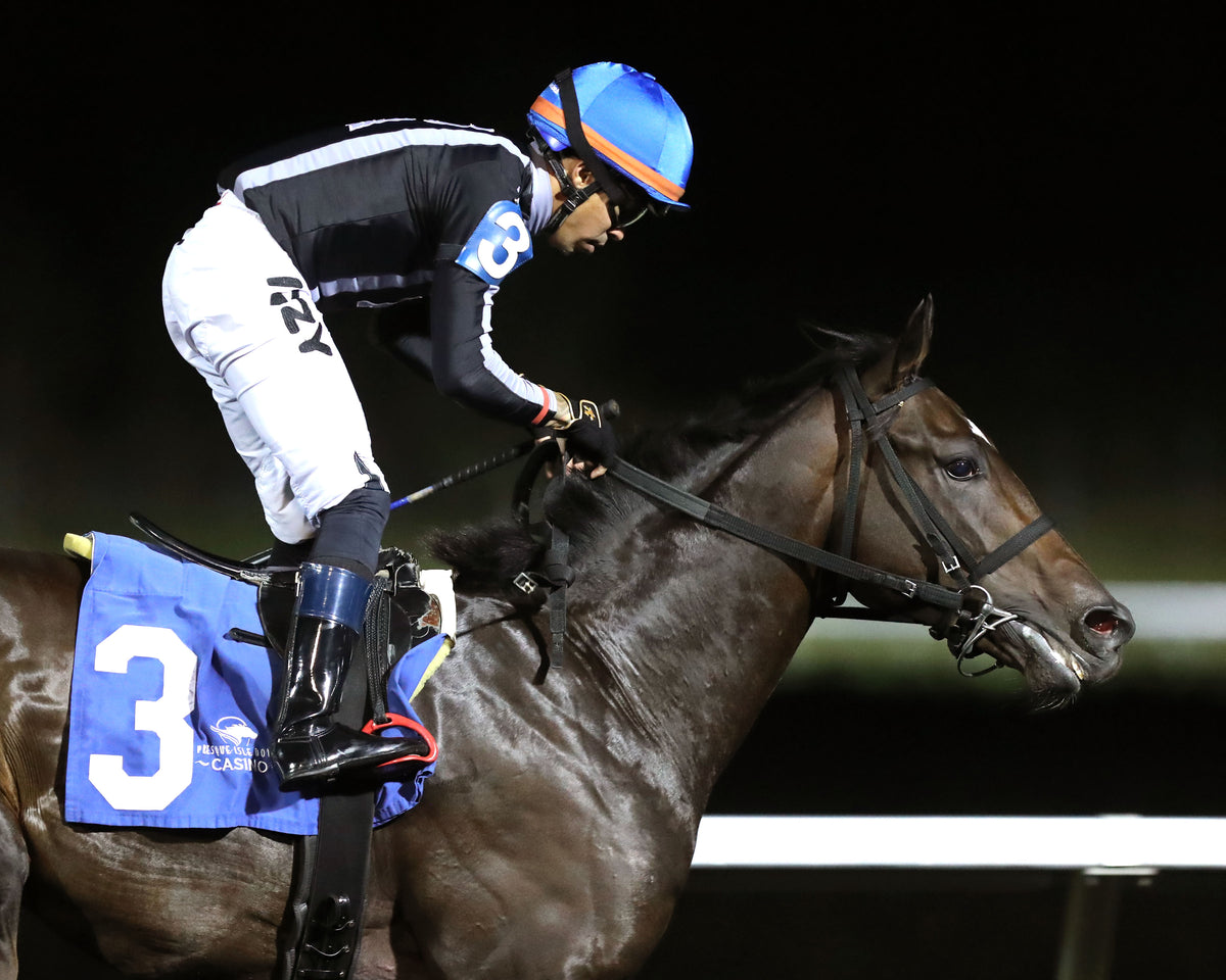 BOSSY WOSSY - The Fitz Dixon Jr. Memorial Juvenile Stakes - 09-18-26 - R07 - PID - Gallop Out