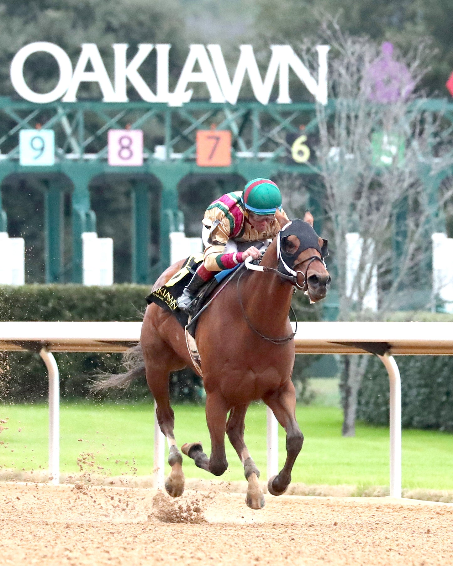 BOURBON BASH - Commodore Overnight Stakes - 01-03-26 - R09 - OP - Finish 02