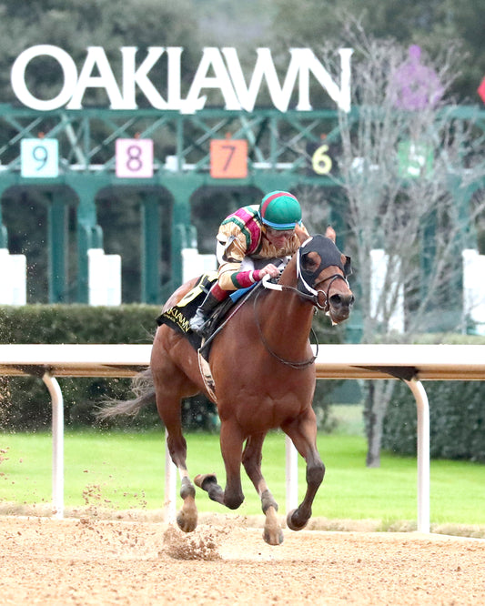 BOURBON BASH - Commodore Overnight Stakes - 01-03-26 - R09 - OP - Finish 02
