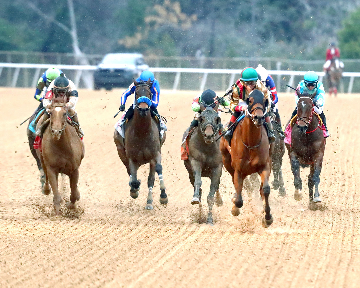 BOURBON BASH - Commodore Overnight Stakes - 01-03-26 - R09 - OP - Head On 01