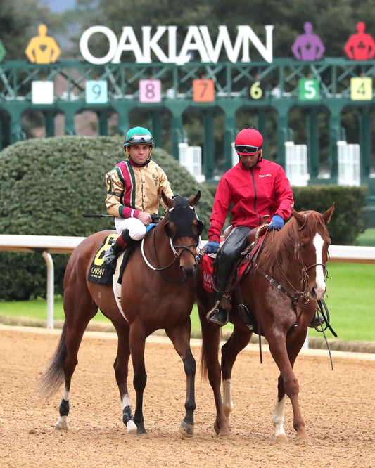 BOURBON BASH - Commodore Overnight Stakes - 01-03-26 - R09 - OP - Post Parade 01