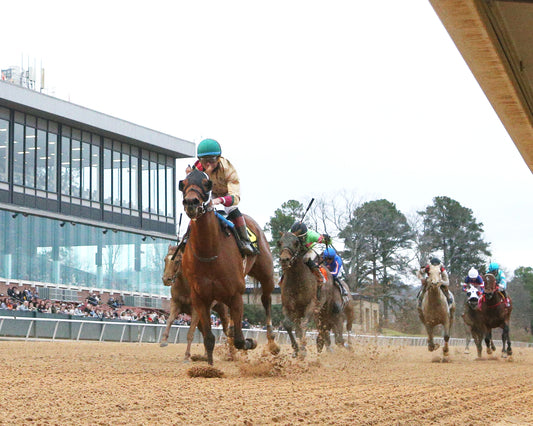 BOURBON BASH - Commodore Overnight Stakes - 01-03-26 - R09 - OP - Under Rail 01