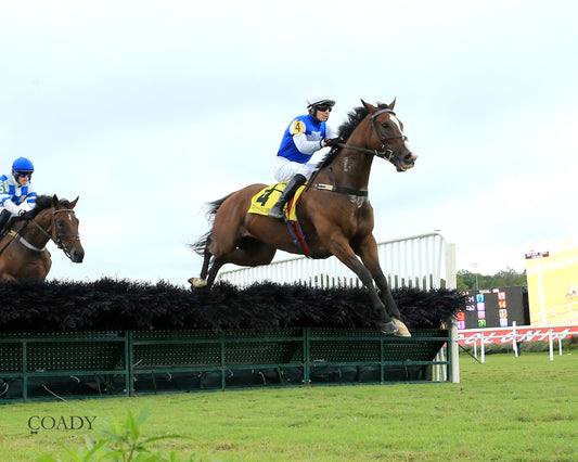 BOX OFFICE WARRIOR - 09-11-25 - R02 - CNL - Action 01