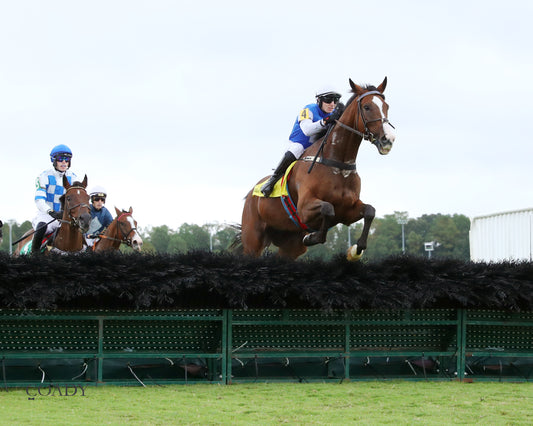 BOX OFFICE WARRIOR - 09-11-25 - R02 - CNL - Action 03