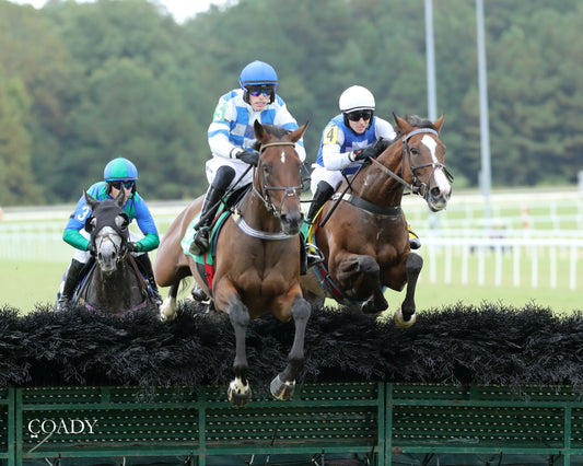 BOX OFFICE WARRIOR - 09-11-25 - R02 - CNL - Action 04