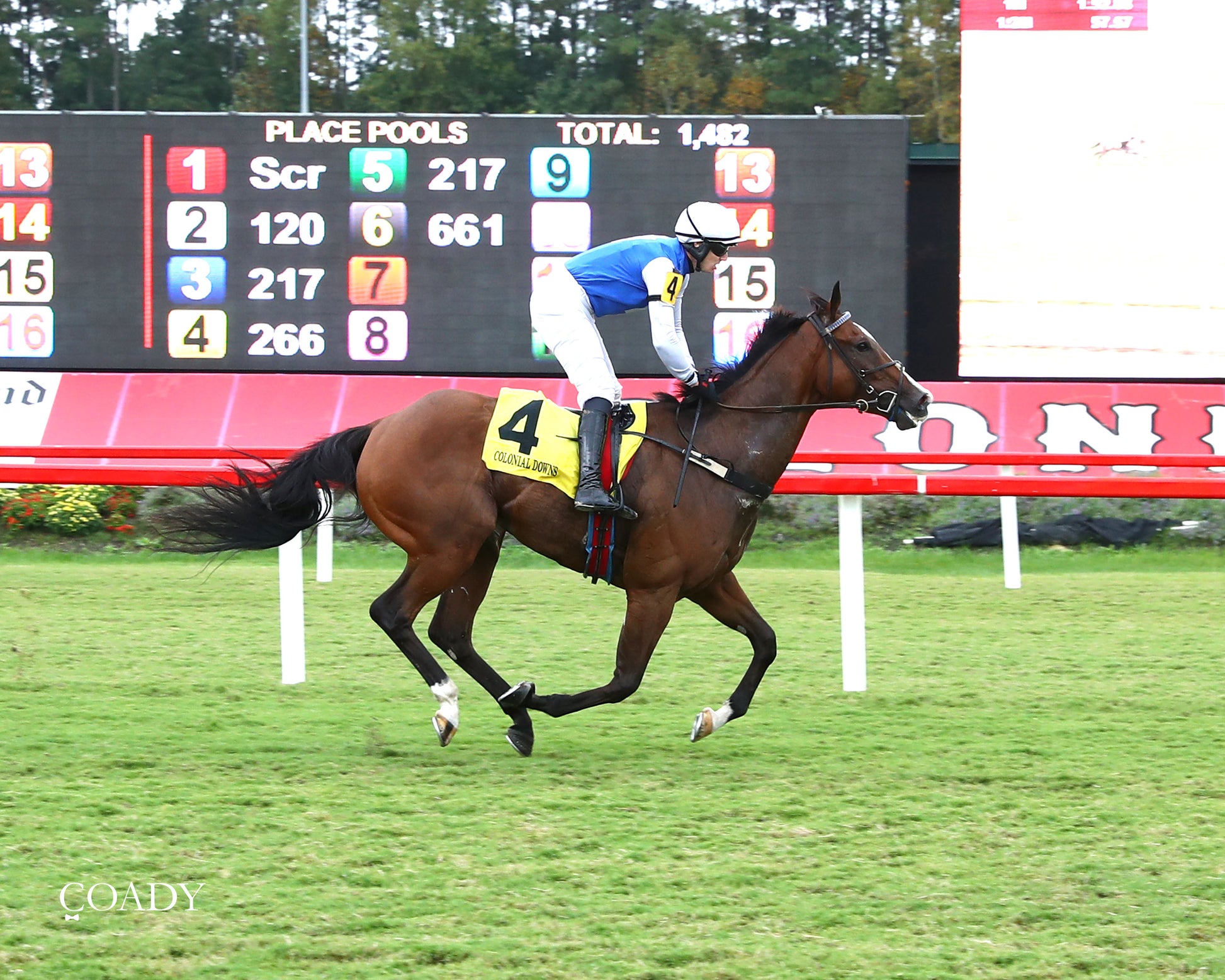 BOX OFFICE WARRIOR - 09-11-25 - R02 - CNL - Finish 01 - Coady Media - Kurtis Coady Photography
