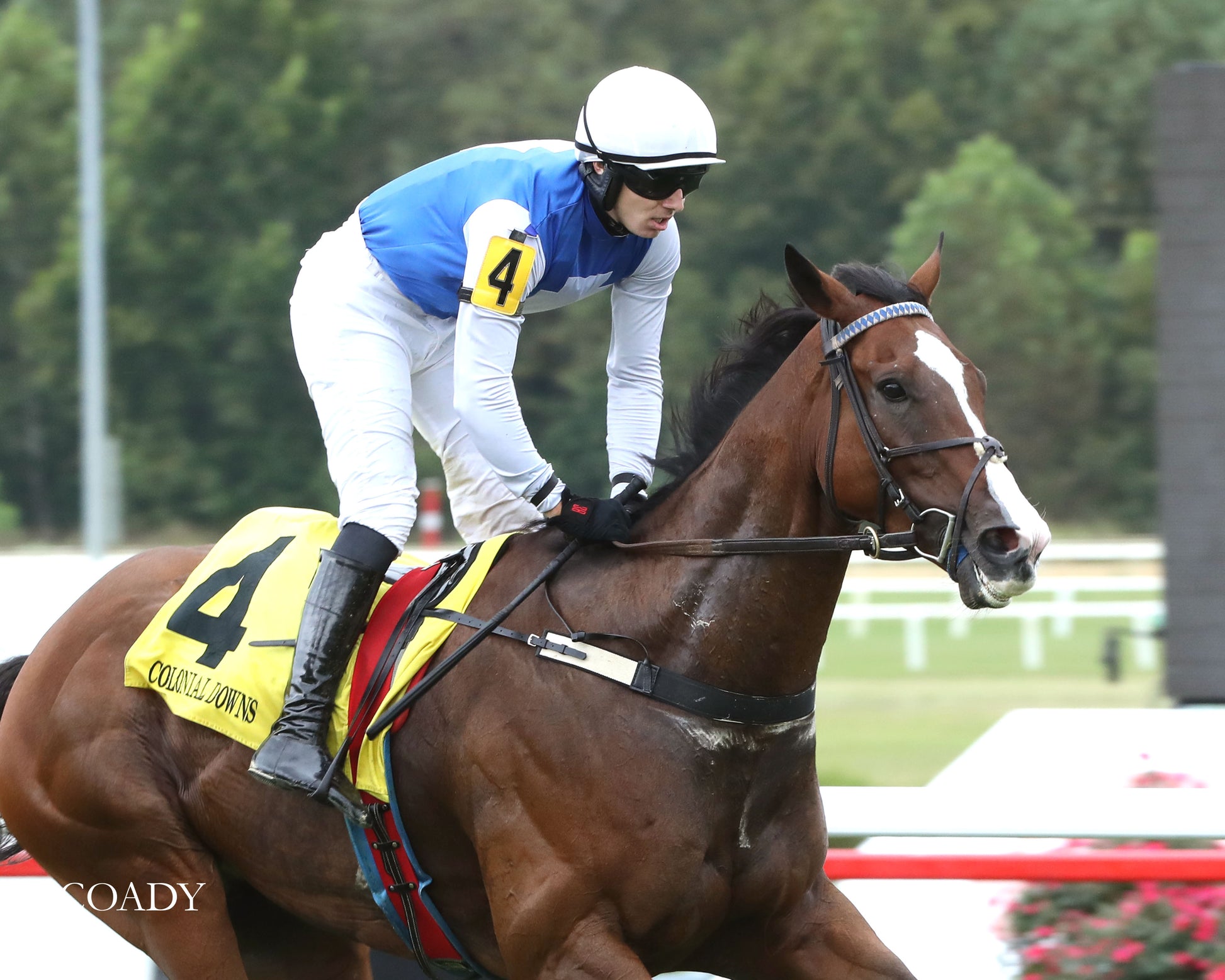 BOX OFFICE WARRIOR - 09-11-25 - R02 - CNL - Finish 02 - Coady Media - Kurtis Coady Photography