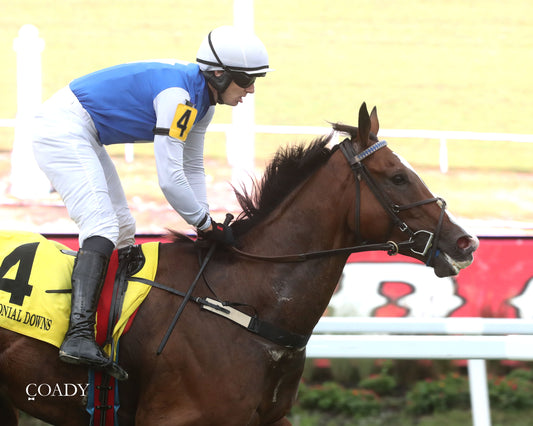 BOX OFFICE WARRIOR - 09-11-25 - R02 - CNL - Finish 03