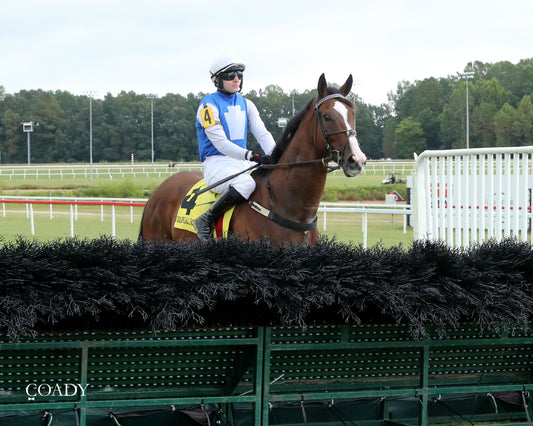 BOX OFFICE WARRIOR - 09-11-25 - R02 - CNL - Prerace 01