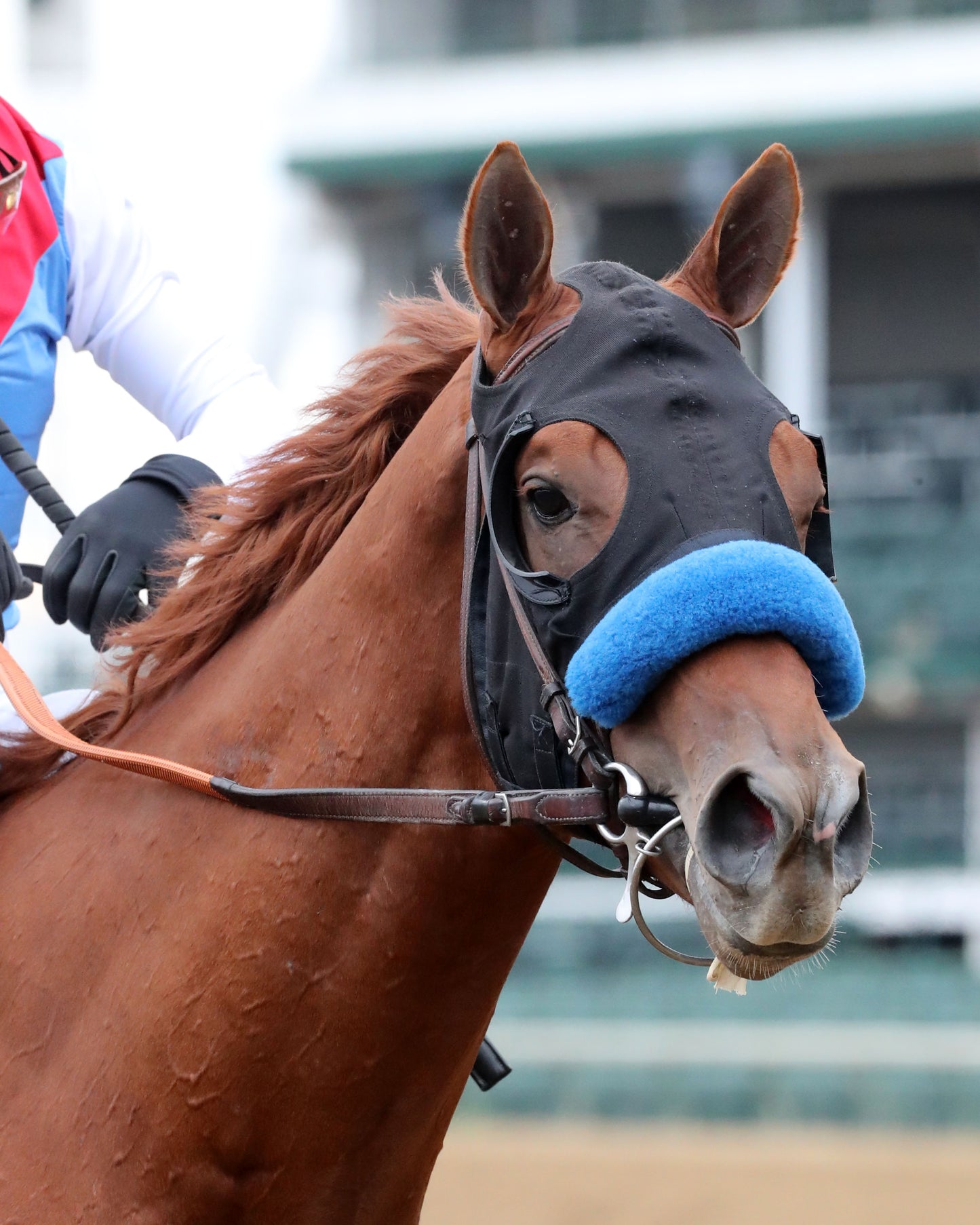 BOYD - The Ed Brown - 11-29-25 - R04 - CD - Come Back 01