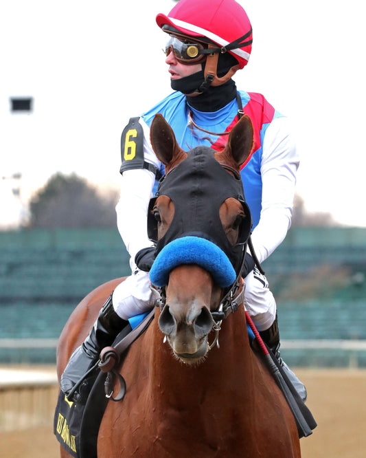 BOYD - The Ed Brown - 11-29-25 - R04 - CD - Come Back 02