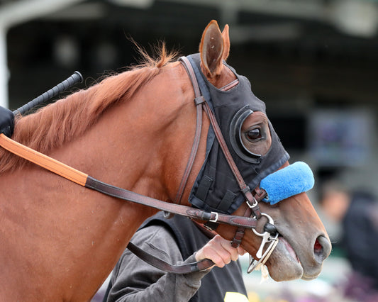 BOYD - The Ed Brown - 11-29-25 - R04 - CD - Post Parade 01