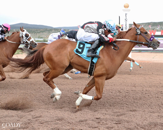 BP CAUGHT DOWN SOUTH - Gary Waite Maiden Stakes Trials - 07-02-26 - R02 - WYO
