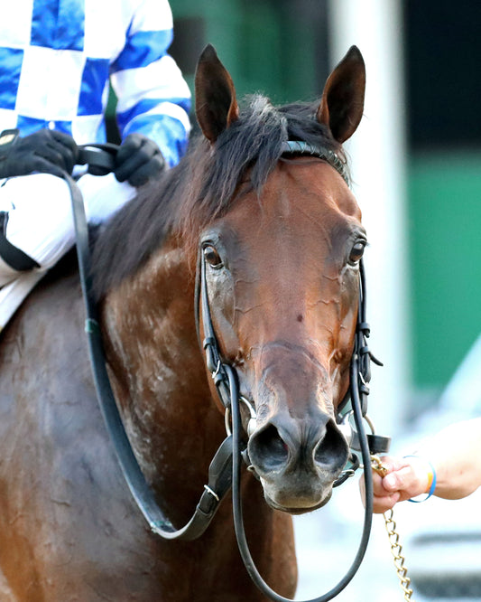BRACKET BUSTER - The West Virginia Governor's Stakes - 08-09-26 - R07 - MNR - Come Back 01