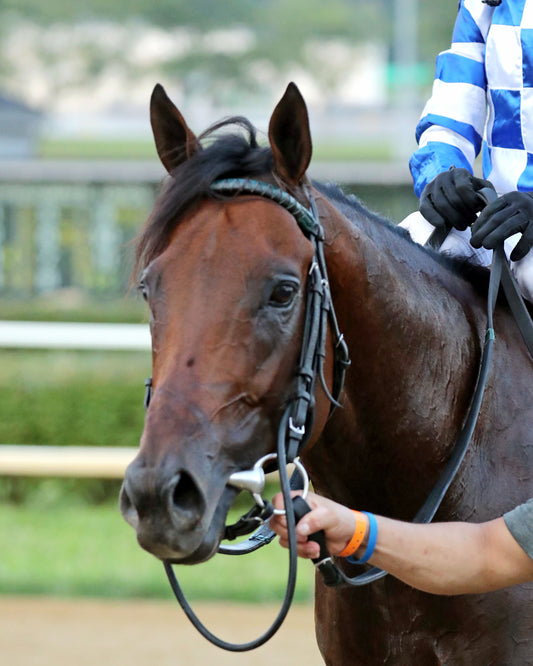 BRACKET BUSTER - The West Virginia Governor's Stakes - 08-09-26 - R07 - MNR - Comeback 03