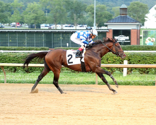 BRACKET BUSTER - The West Virginia Governor's Stakes - 08-09-26 - R07 - MNR - Finish 01