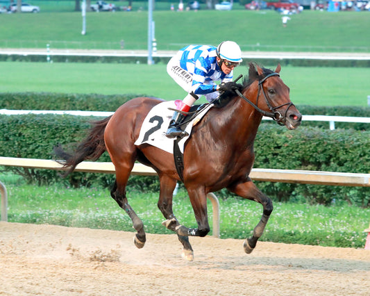 BRACKET BUSTER - The West Virginia Governor's Stakes - 08-09-26 - R07 - MNR - Finish 02