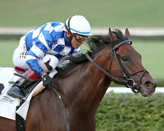 BRACKET BUSTER - The West Virginia Governor's Stakes - 08-09-26 - R07 - MNR - Finish 03